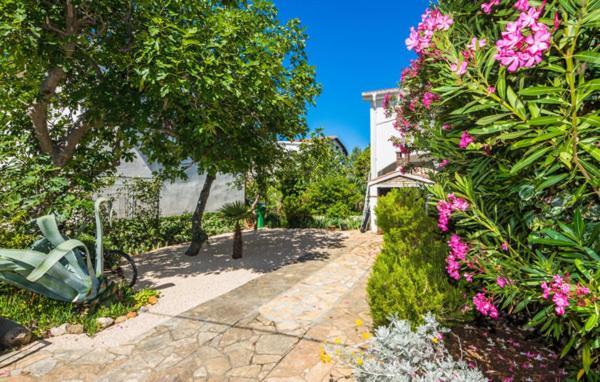 Apartment "Marija" - Otok Vir Eksteriør billede